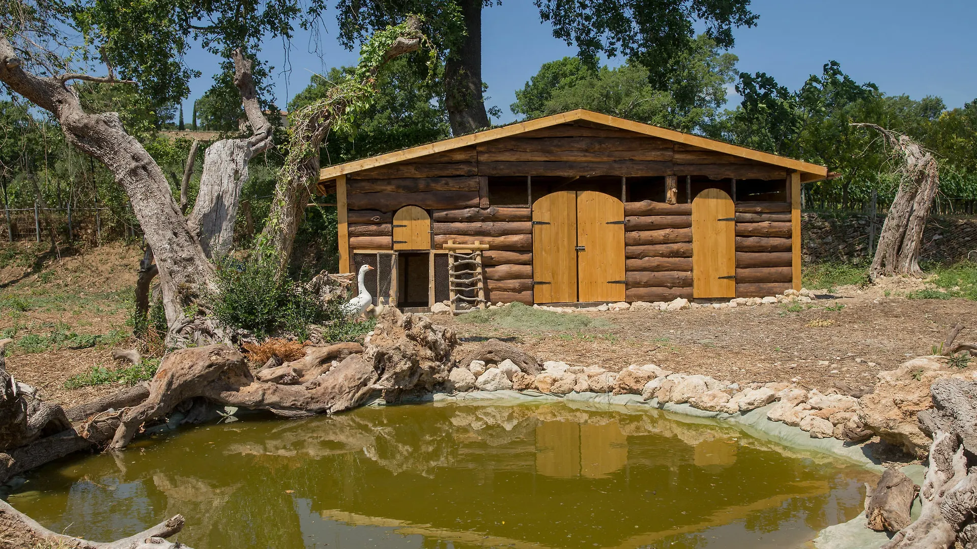 Agriturismo Le Anfore Sarteano Alloggio per agriturismo